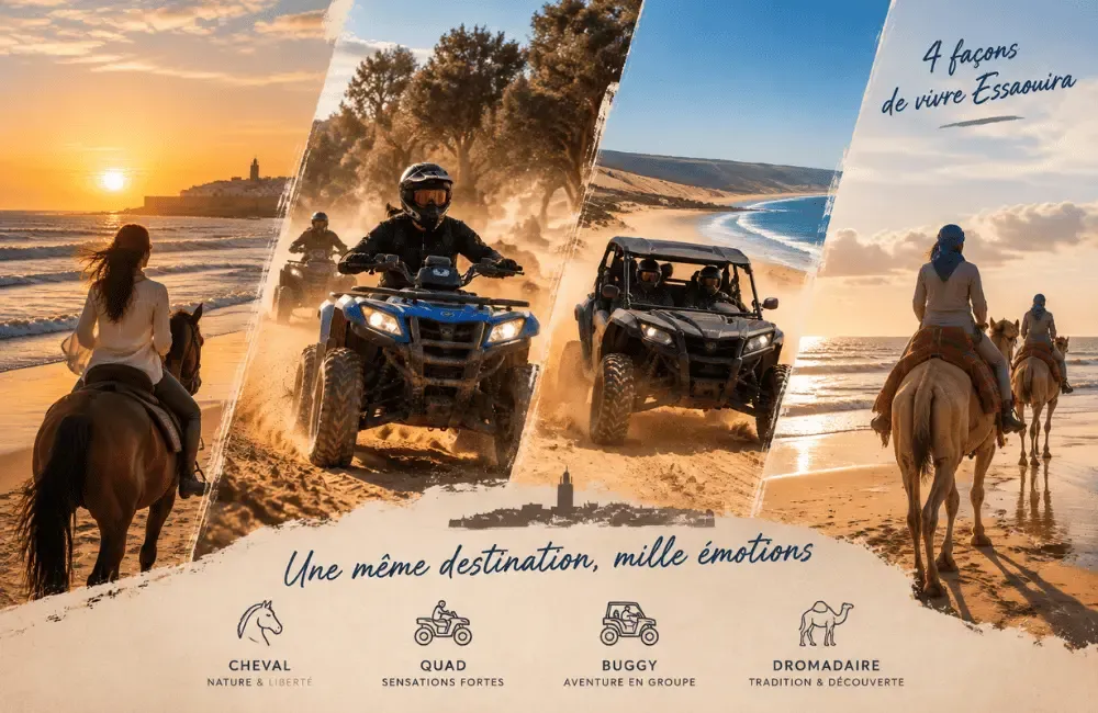 4 façons de vivre Essaouira : cheval nature et liberté, quad sensations fortes, buggy aventure en groupe, dromadaire tradition et découverte