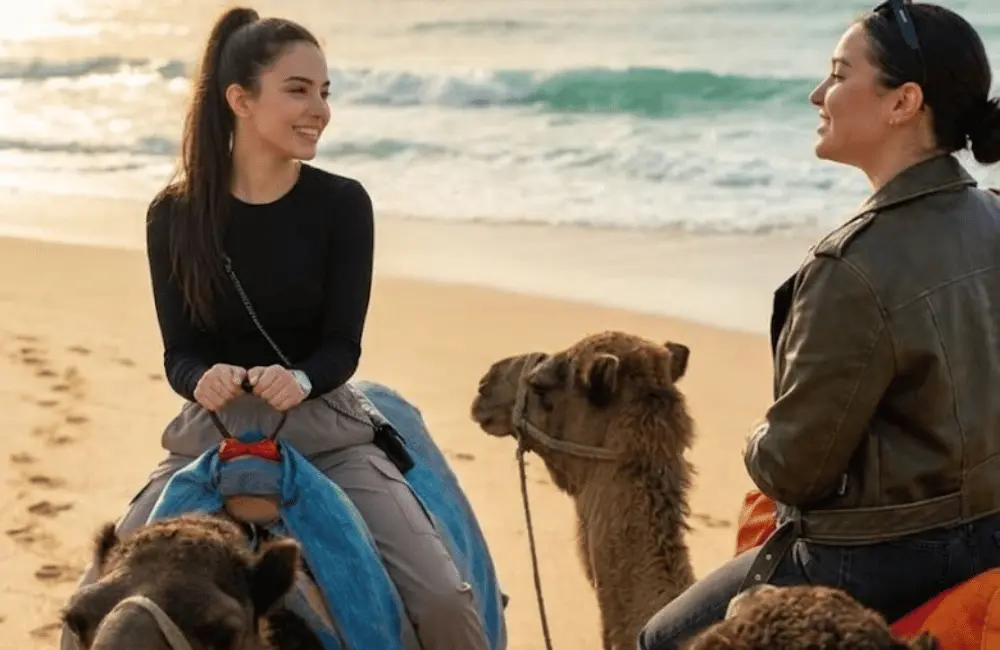 Une pause entre amies Deux amies discutent à dos de chameau sur une plage d’Essaouira