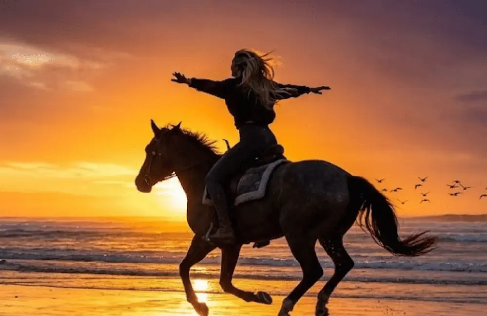 Balade à cheval guidée sur la plage d’Essaouira