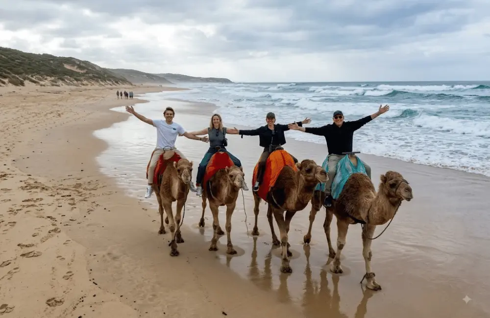 Groupe en balade à dos de dromadaire sur une plage atlantique près d’Essaouira
