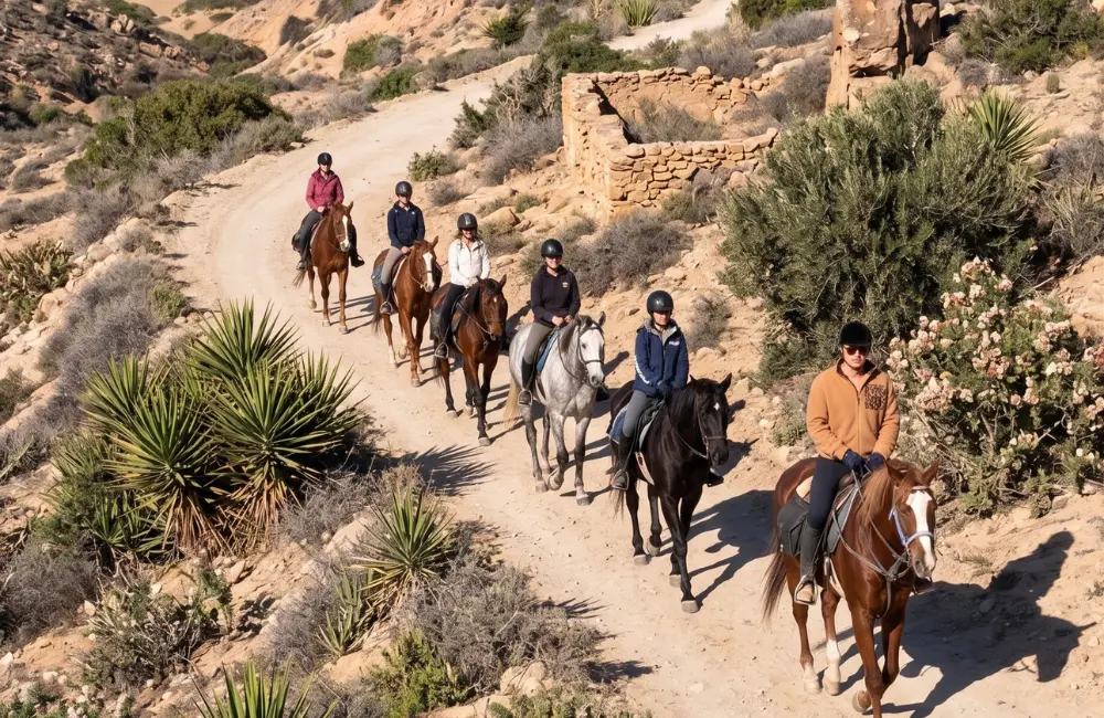 Groupe accompagné par un guide pendant un circuit à cheval près d’Essaouira