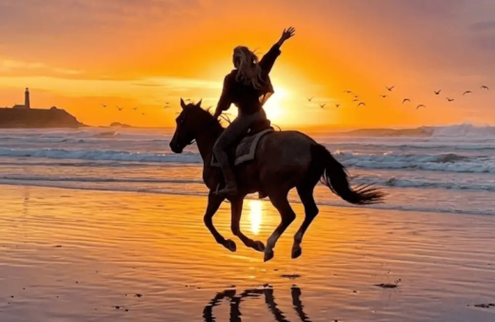Groupe de cavaliers lors d'une demi-journée à cheval avec pause thé à Essaouira