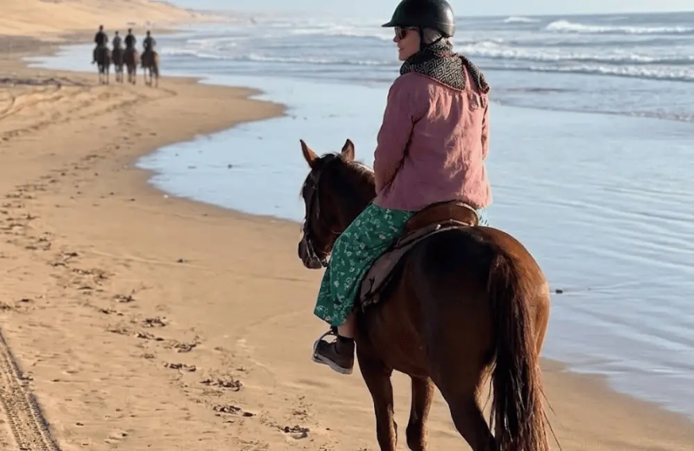 Cheval cheminant sur les dunes de sable fin de Diabat avec vue sur l'océan Atlantique