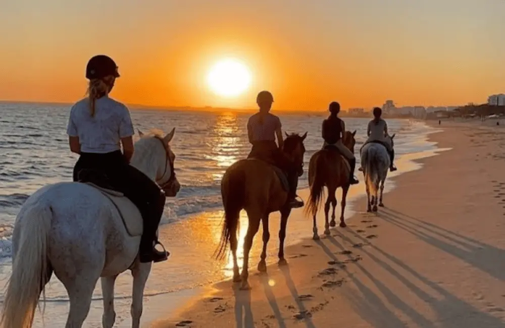 Cavalier au pas sur le sable fin d'Essaouira avec les vagues atlantiques en arrière-plan