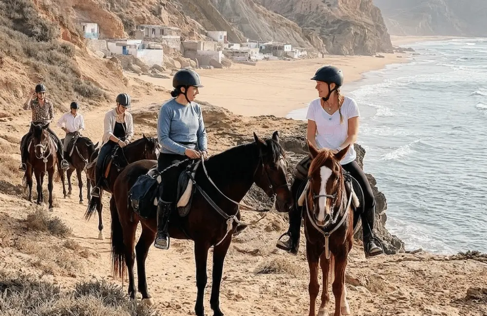 Chevaux Barbes-Arabes entraînés, dociles et bien traités au ranch de Diabat Essaouira