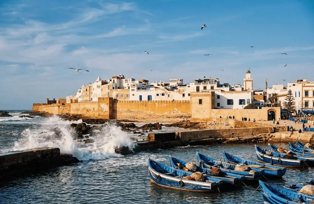 Activités de plein air à Essaouira : balades équestres et dromadaire au coucher du soleil