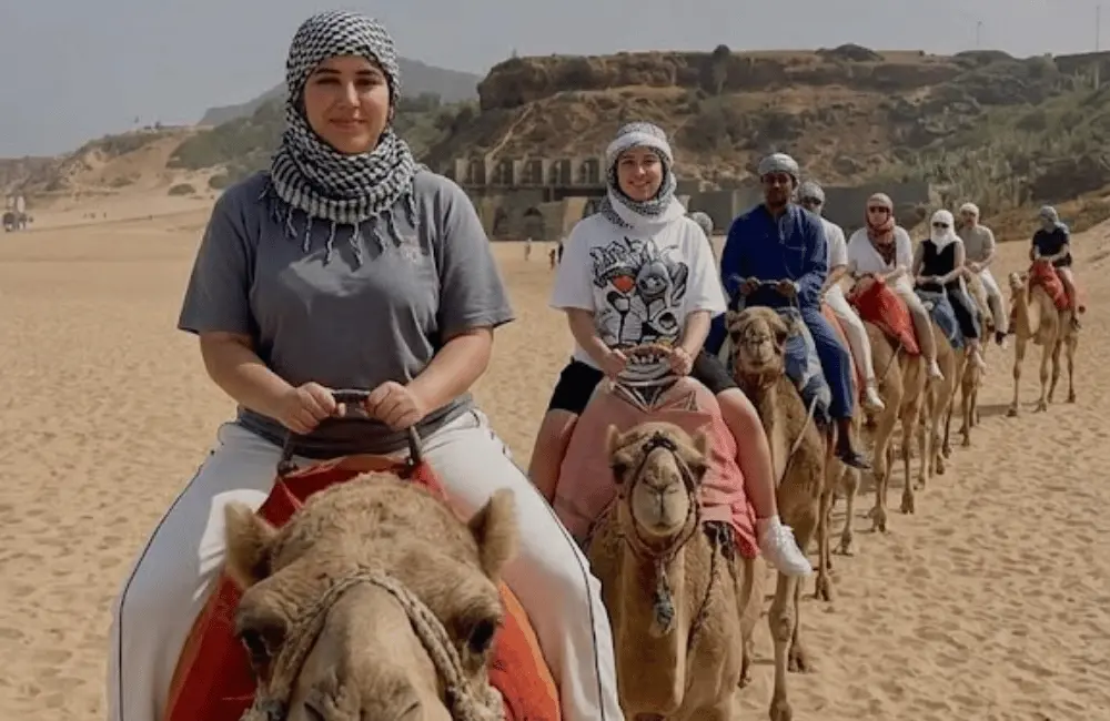 Une randonnée chamelière en groupe Longue caravane pendant une randonnée chamelière en groupe sur la plage