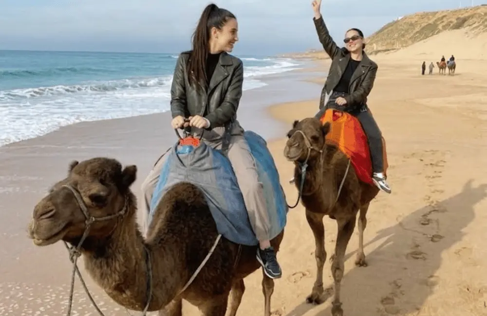 Duo sur le sable Deux voyageuses en randonnée à dos de dromadaire sur la plage près de Diabat