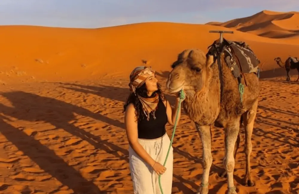 Face à face avec le dromadaire Voyageuse rencontre un dromadaire debout au milieu de dunes orangées